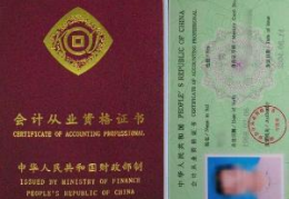 会计从业资格,职业发展基石与行业规范保障