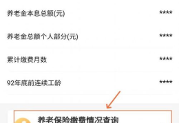 怎么查养老保险缴费情况,一键查询养老保险缴费详情指南”
