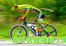 娱乐吃瓜酱自行车,自行车界的潮流新宠