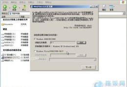 windows pe u盘版,便携式系统维护与安装指南