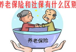 养老保险和社保的区别,全面解析两者的差异与联系