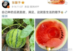 娱乐吃瓜新鲜事,揭秘明星幕后故事