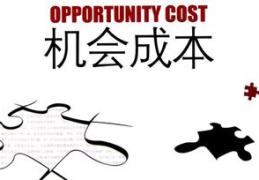 机会成本,决策背后的无形代价解析
