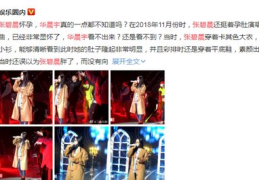 娱乐圈读心吃瓜小说