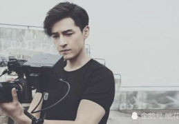 娱乐吃瓜博主胡歌是谁啊,娱乐圈的焦点人物与他的星途历程