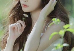 欧美一级婬片欧美大片rb MBA智库新交通法规2024全文