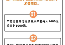 生育保险怎么报销,生育保险报销流程详解与常见问题解答