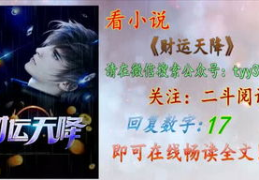 财运天降小说,财富逆袭与人生探索的都市传奇