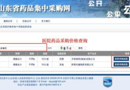 山东医药采购网,药品采购政策与市场趋势解析