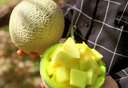 娱乐吃瓜壁纸图片大全,吃瓜壁纸大盘点